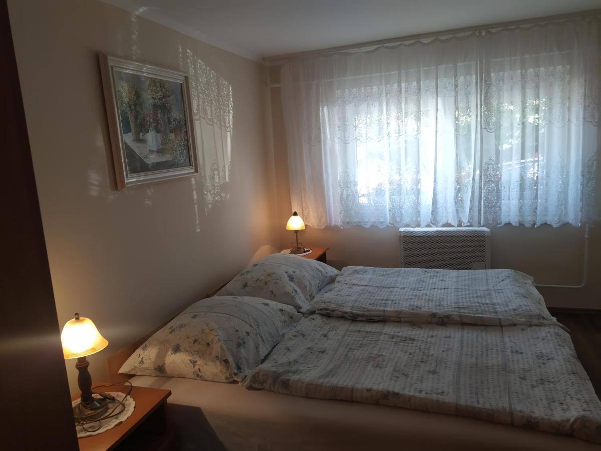 ザラカロシュIldiko Appertementsアパートメント エクステリア 写真