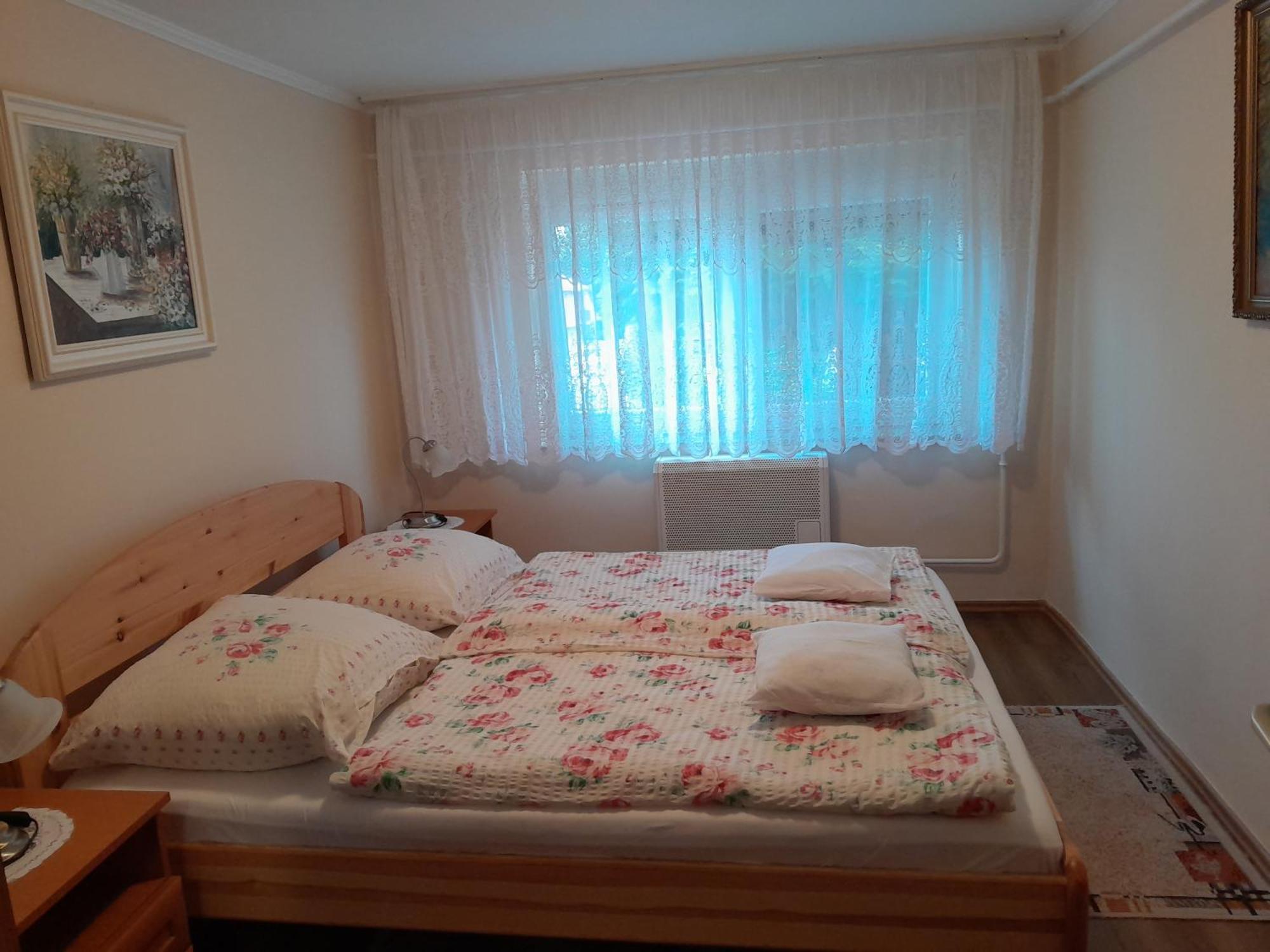 ザラカロシュIldiko Appertementsアパートメント エクステリア 写真